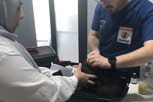 Vetmoon Veteriner Kliniği - Resim 11