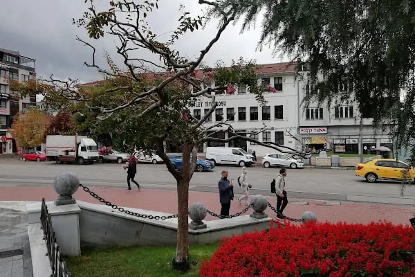 Ahmet Vefik Paşa Bursa Devlet Tiyatrosu - Resim 16