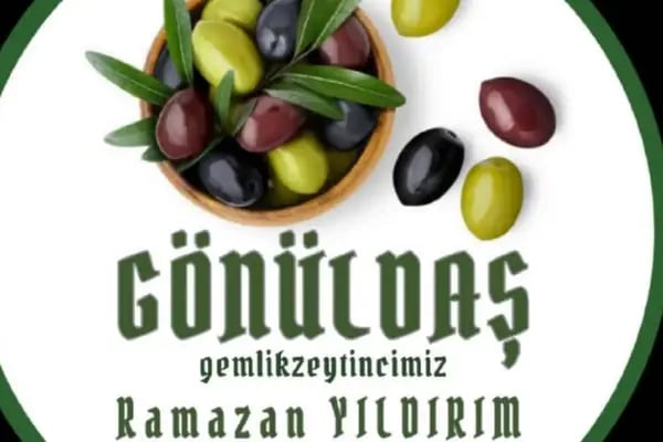 Gemlik Zeytincimiz - Resim 4