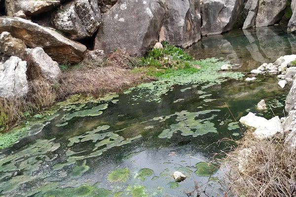 Gözbaşı - Resim 3
