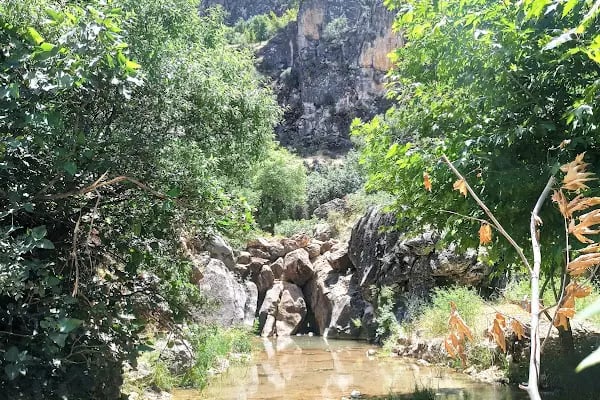 Gözbaşı - Resim 7
