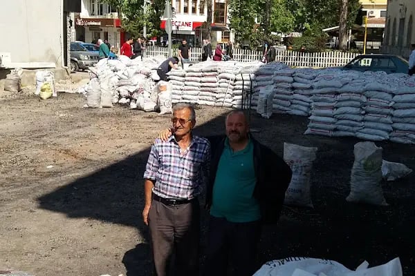 Gürsu İlçe Nüfus Müdürlüğü - Resim 2