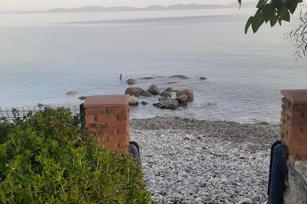 Bohem Bahçe - Resim 10