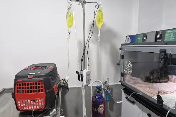 Akçay Veteriner Kliniği - Resim 14