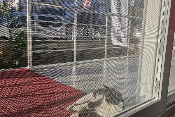 Akçay Veteriner Kliniği - Resim 18