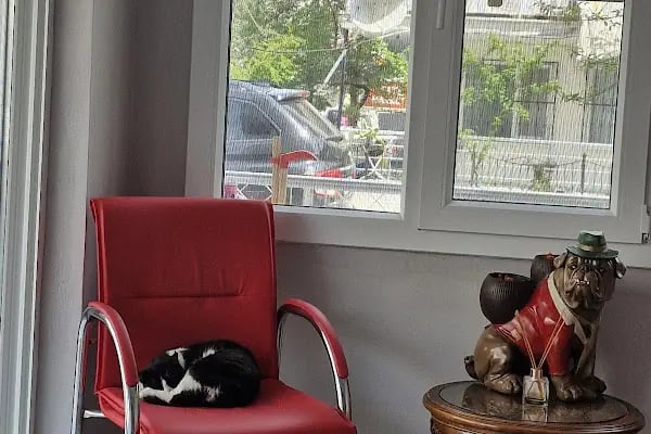Akçay Veteriner Kliniği - Resim 20