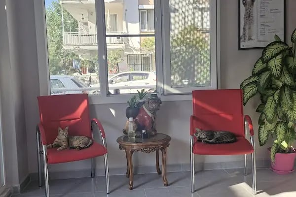 Akçay Veteriner Kliniği - Resim 7