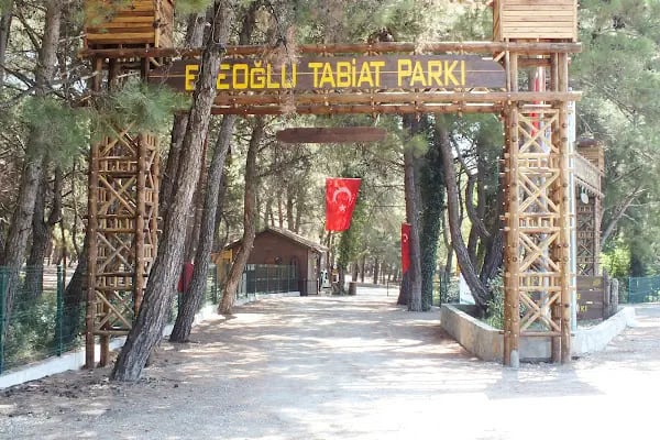 Efeoğlu Tabiat Parkı - Resim 9