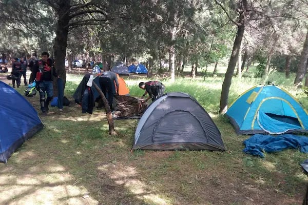 Efeoğlu Tabiat Parkı - Resim 11