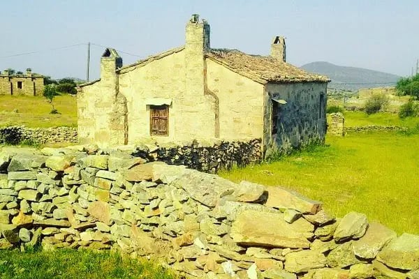 Efeoğlu Tabiat Parkı - Resim 16