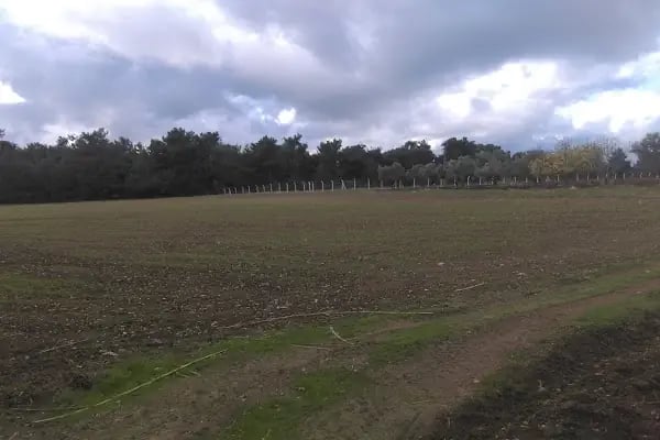 Efeoğlu Tabiat Parkı - Resim 6