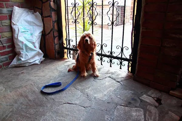 Patio Hotel - Resim 17