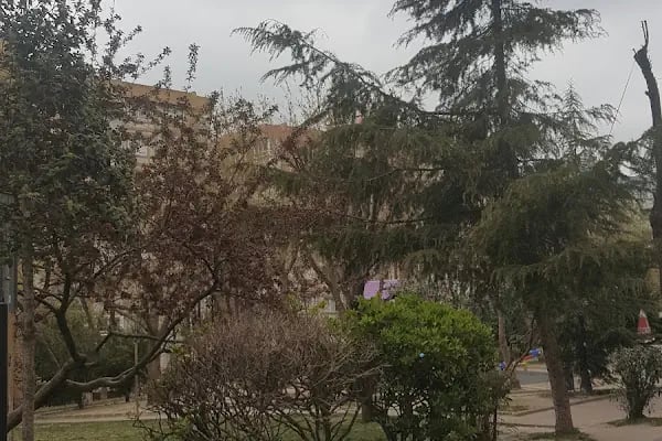 Altınyıldız Semt Havuzu Ve Bilgi Evi - Resim 10
