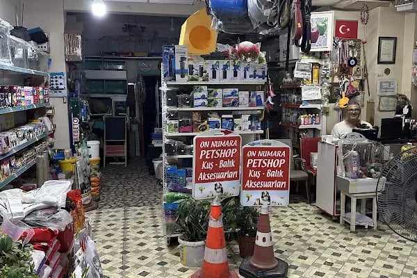 ON NUMARA PET SHOP - Resim 7