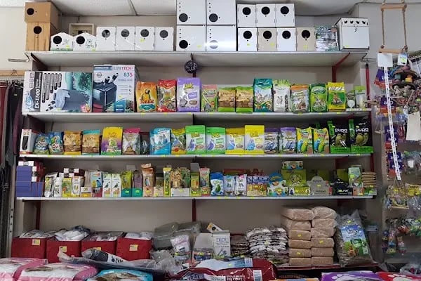 ON NUMARA PET SHOP - Resim 4