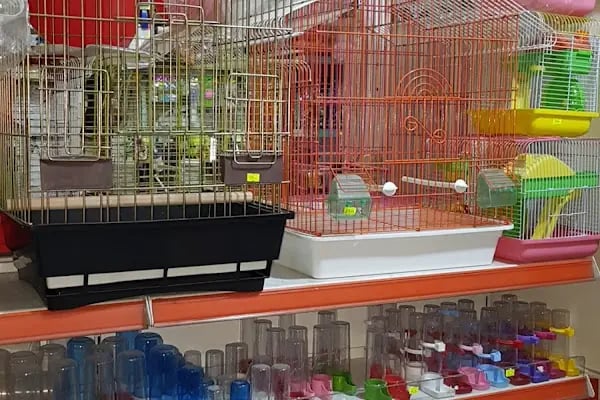 ON NUMARA PET SHOP - Resim 9