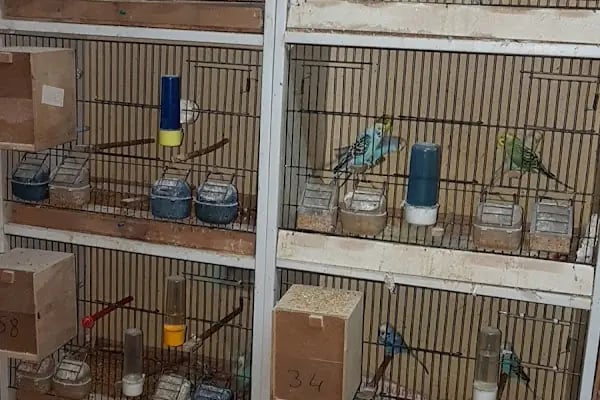 ON NUMARA PET SHOP - Resim 5