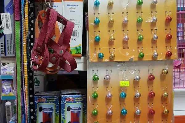 ON NUMARA PET SHOP - Resim 14