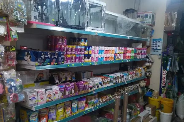 ON NUMARA PET SHOP - Resim 10