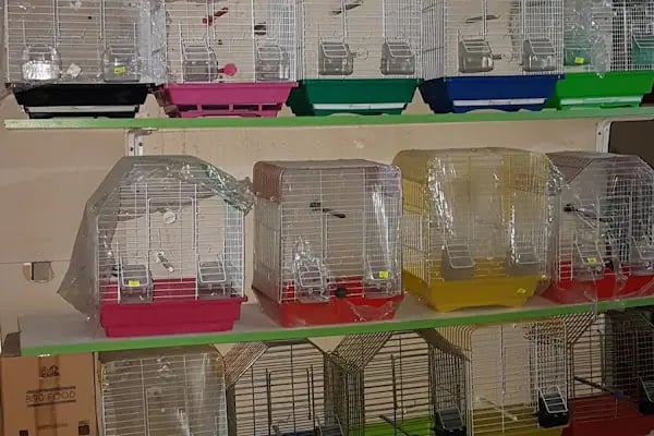 ON NUMARA PET SHOP - Resim 17
