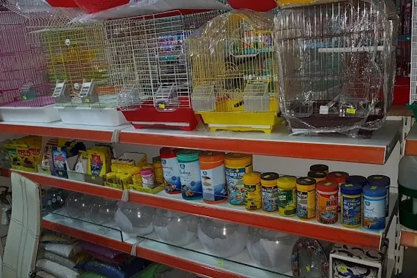 ON NUMARA PET SHOP - Resim 11