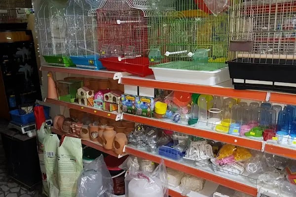 ON NUMARA PET SHOP - Resim 3