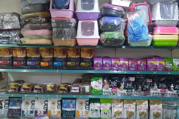 ON NUMARA PET SHOP - Resim 18