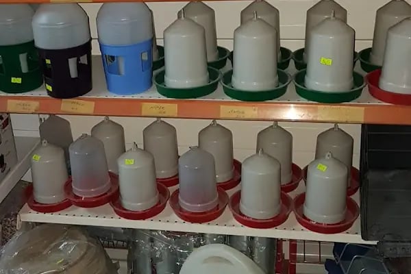 ON NUMARA PET SHOP - Resim 13