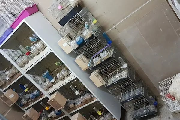 ON NUMARA PET SHOP - Resim 15