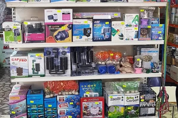 ON NUMARA PET SHOP - Resim 12