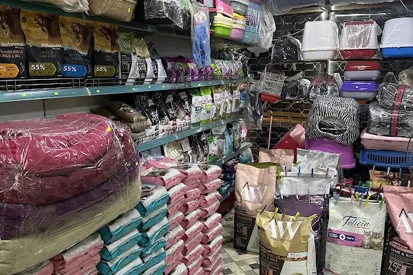 ON NUMARA PET SHOP - Resim 8