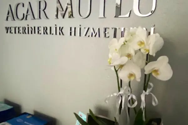 Acar Mutlu Veteriner Kliniği - Resim 1