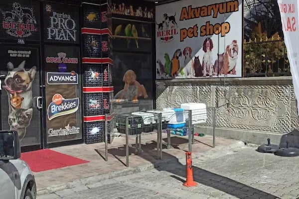 BERİL AKVARYUM PETSHOP - Resim 7