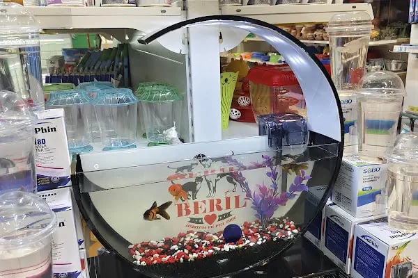 BERİL AKVARYUM PETSHOP - Resim 16