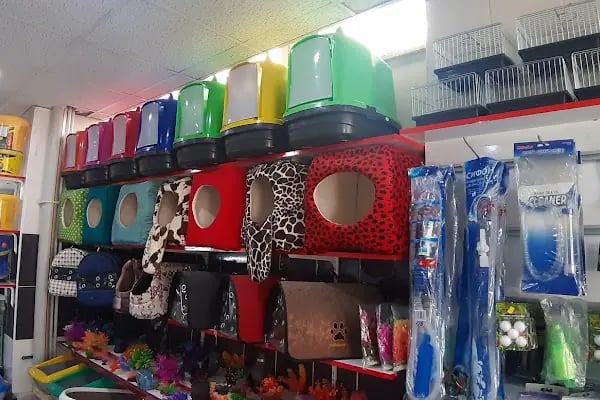 BERİL AKVARYUM PETSHOP - Resim 17