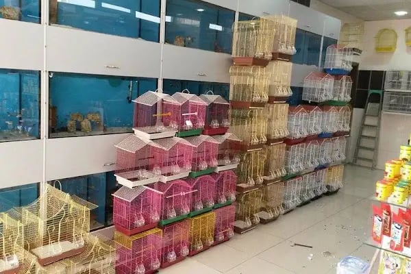 BERİL AKVARYUM PETSHOP - Resim 15