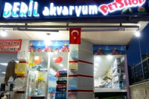 BERİL AKVARYUM PETSHOP - Resim 13