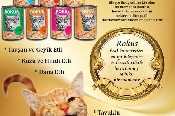 BERİL AKVARYUM PETSHOP - Resim 19