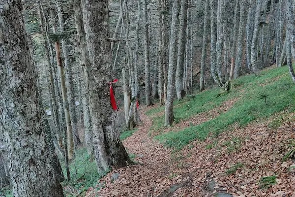 Softaboğan Şelalesi - Resim 5