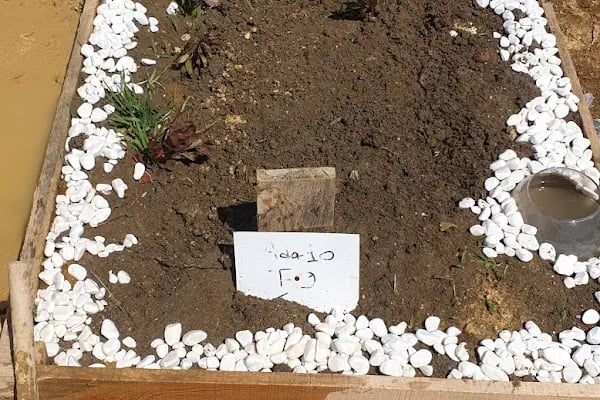 Tayakadın Yeni Mezarlık - Resim 8