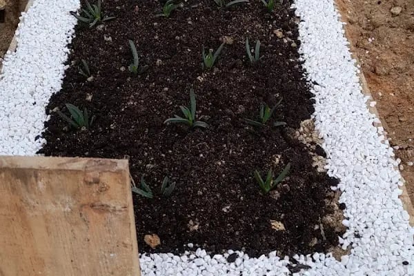 Tayakadın Yeni Mezarlık - Resim 16