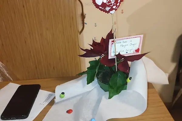 Ge-Çiçek Flower Shop - Resim 3