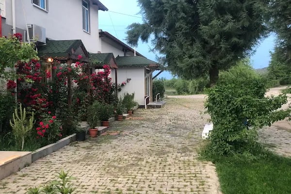 Beypazarı As Balıkçılık - Resim 4