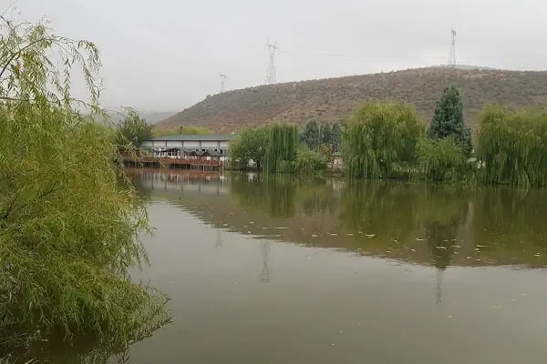 Beypazarı As Balıkçılık - Resim 5