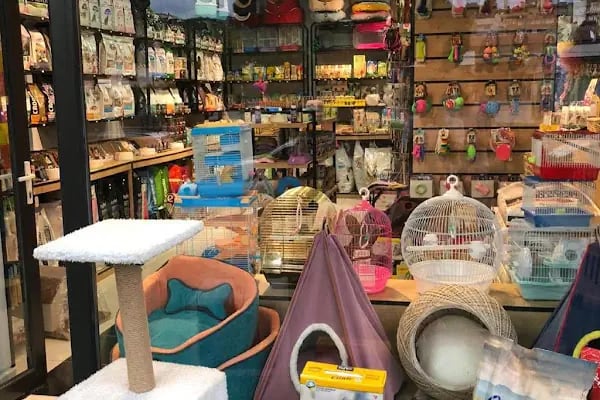 Bergama Petite Petshop - Resim 10