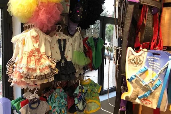 Bergama Petite Petshop - Resim 13