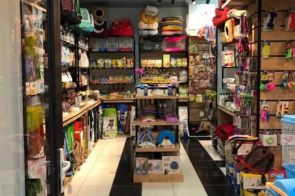 Bergama Petite Petshop - Resim 6