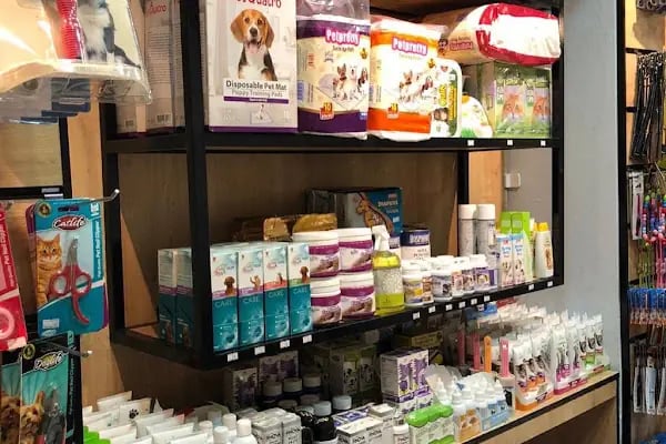 Bergama Petite Petshop - Resim 16