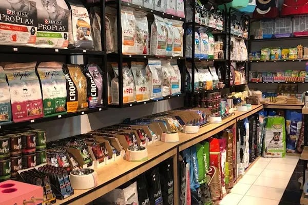 Bergama Petite Petshop - Resim 2
