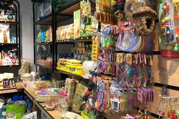 Bergama Petite Petshop - Resim 14